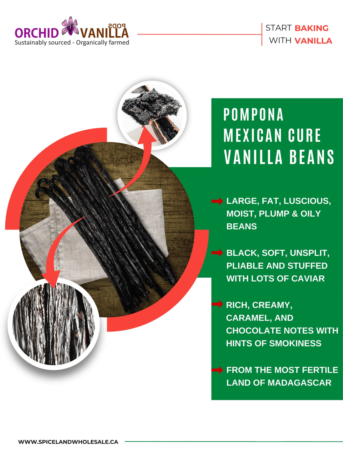 Mexican Cure Vanilla Beans (Pompona) Madagascar-1