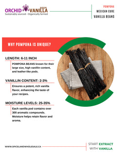 Mexican Cure Vanilla Beans (Pompona) Madagascar-2