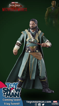 Marvel Legends -Multiverse of Madness - Master Mordo-2