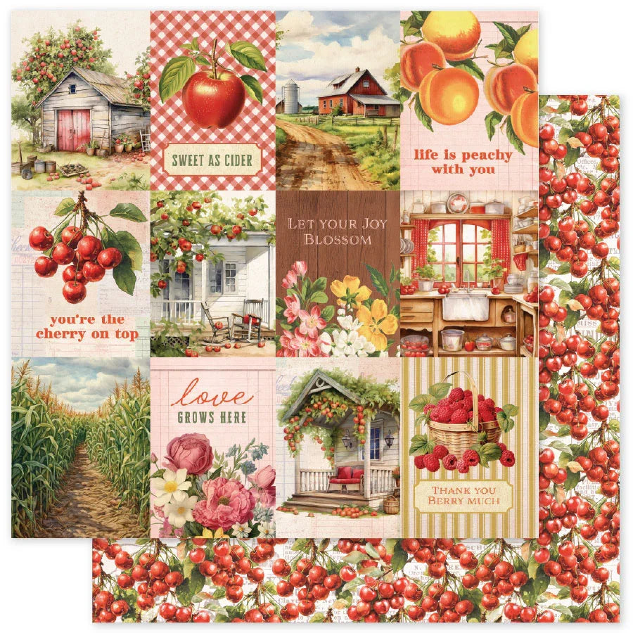 Meadowbrook Farm Papier 30 x 30 cm (Paquet de 12 en vrac) 35022-1