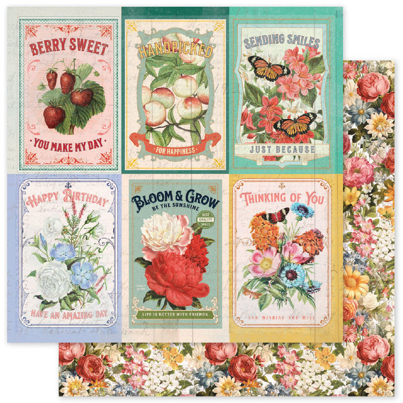 Collection de papiers Meadowbrook Farm Basics 6x6 35040-5