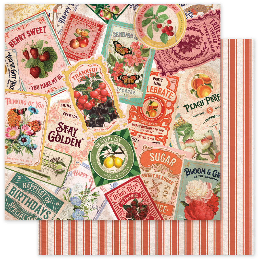Collection de papiers Meadowbrook Farm Basics 6x6 35040-6