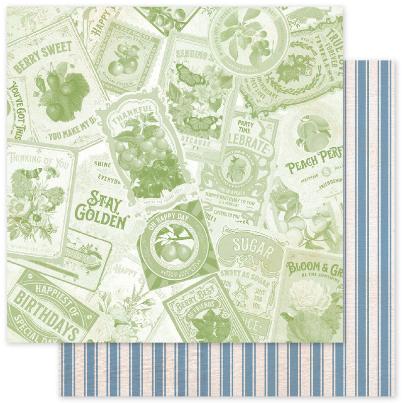 Meadowbrook Farm Motifs Papier 30,5 x 30,5 cm (Lot de 12) 35103-1