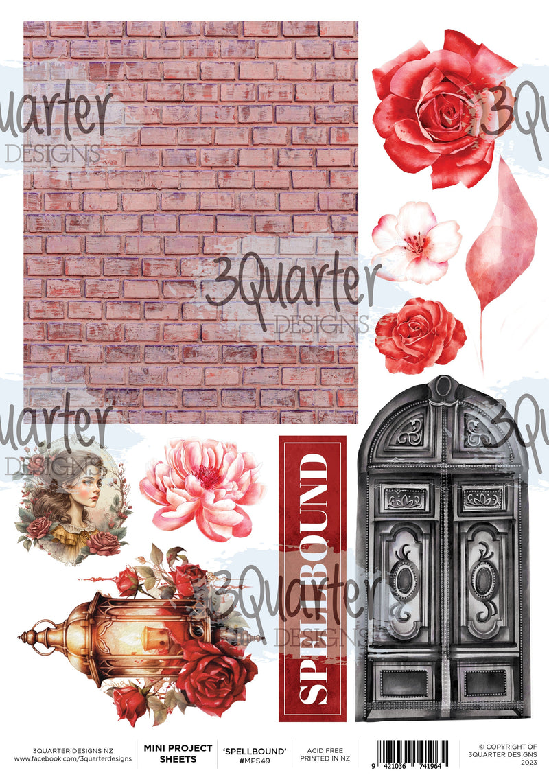 Spellbound Rose - Mini Project Sheet-1