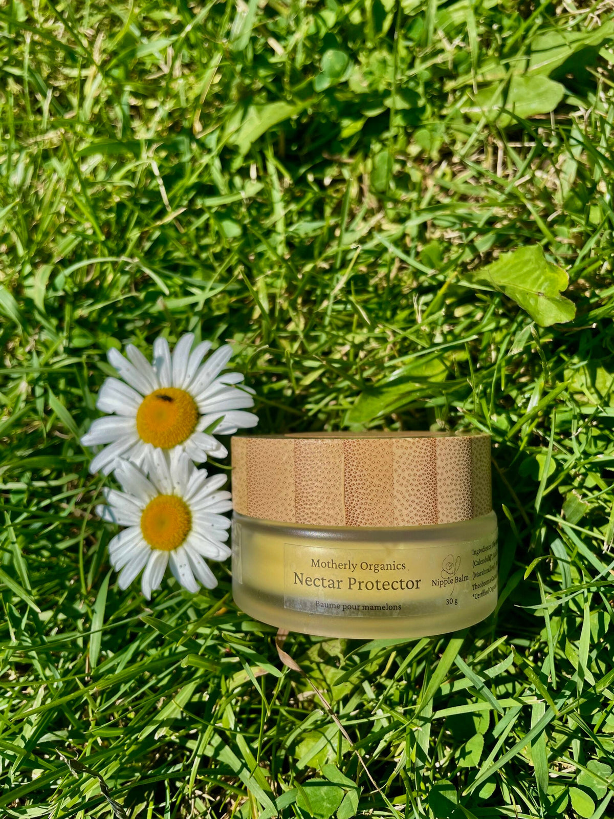 Nectar Protector | Nipple Balm | Motherly Organics-1