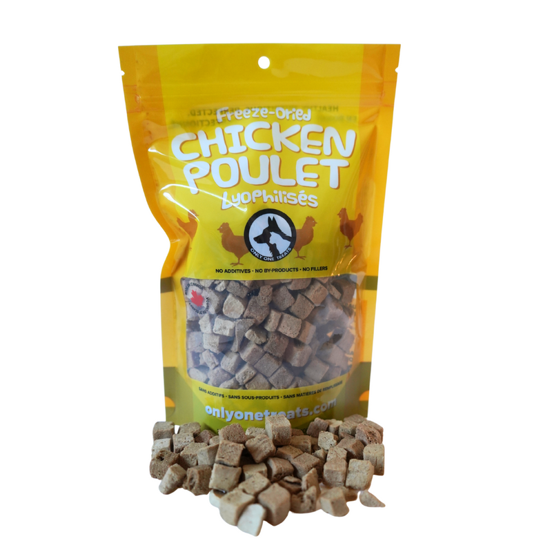 Freeze-Dried Chicken 100g-1