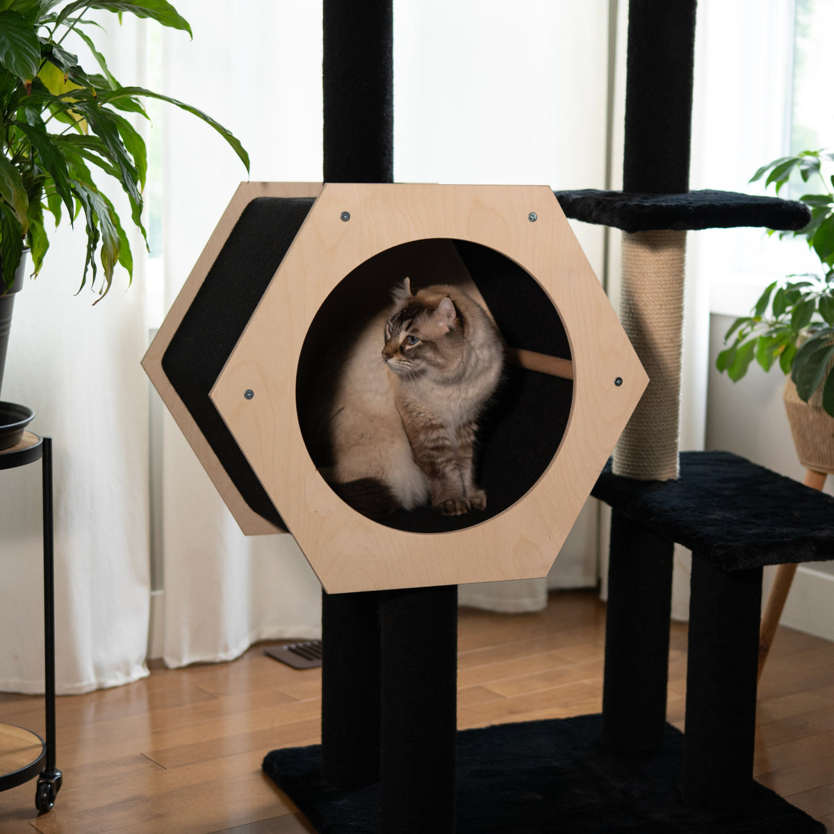 Hexagon House - 4-Level Cat Tree-2