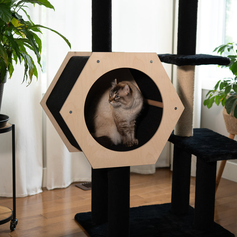 Hexagon House - 4-Level Cat Tree-2