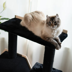 Hexagon House - 4-Level Cat Tree-4