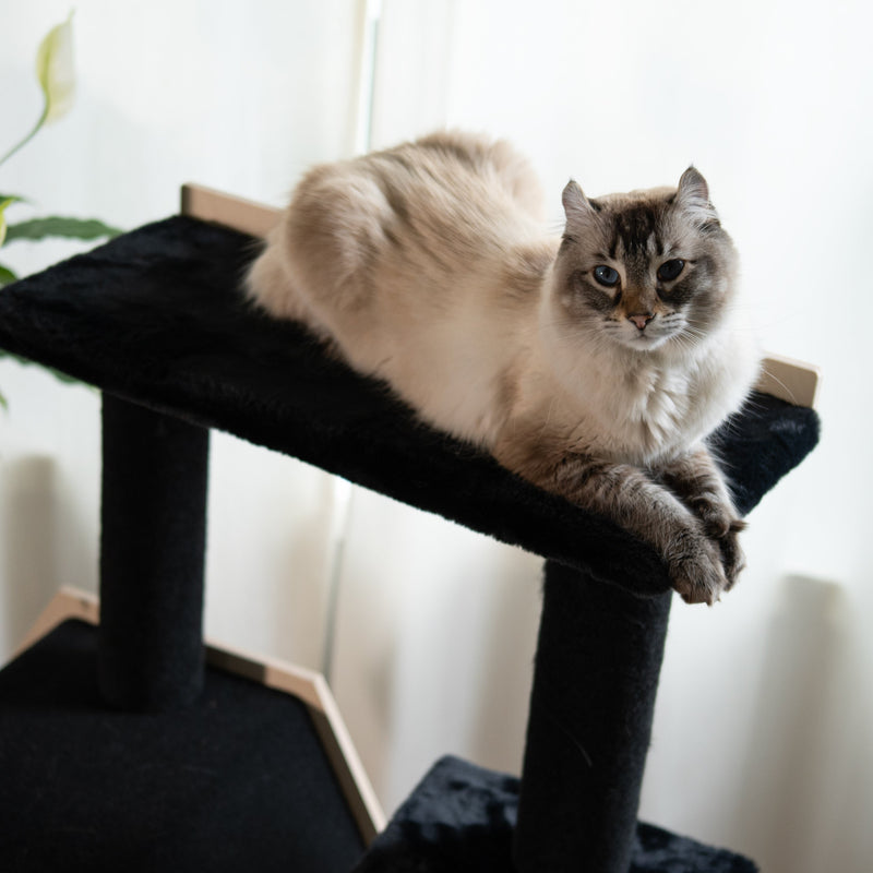 Hexagon House - 4-Level Cat Tree-4