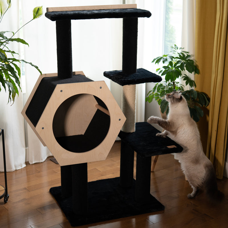 Hexagon House - 4-Level Cat Tree-1