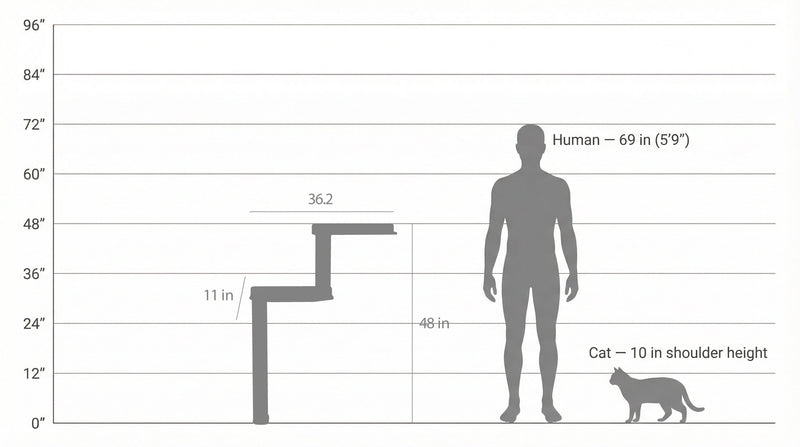 Wall Mounted Cat Scratcher Parkour-8