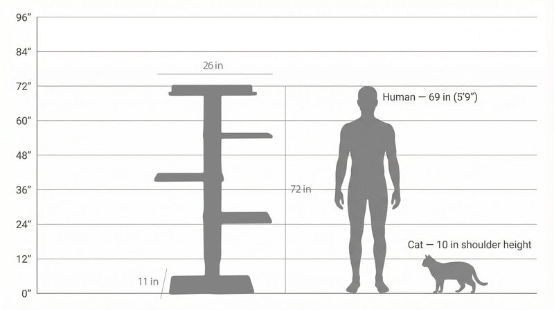 Noba Mural System Kit- The Vertical Playground-6