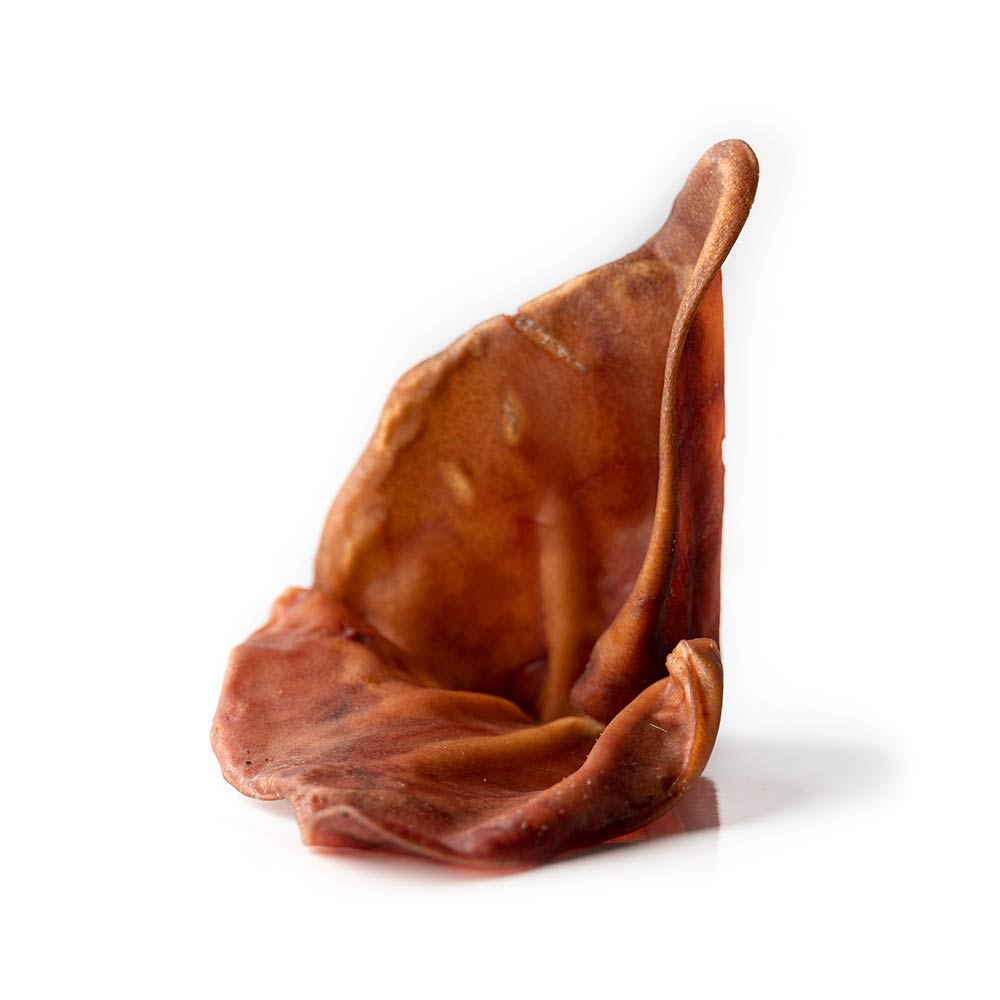 Pork Ear-1