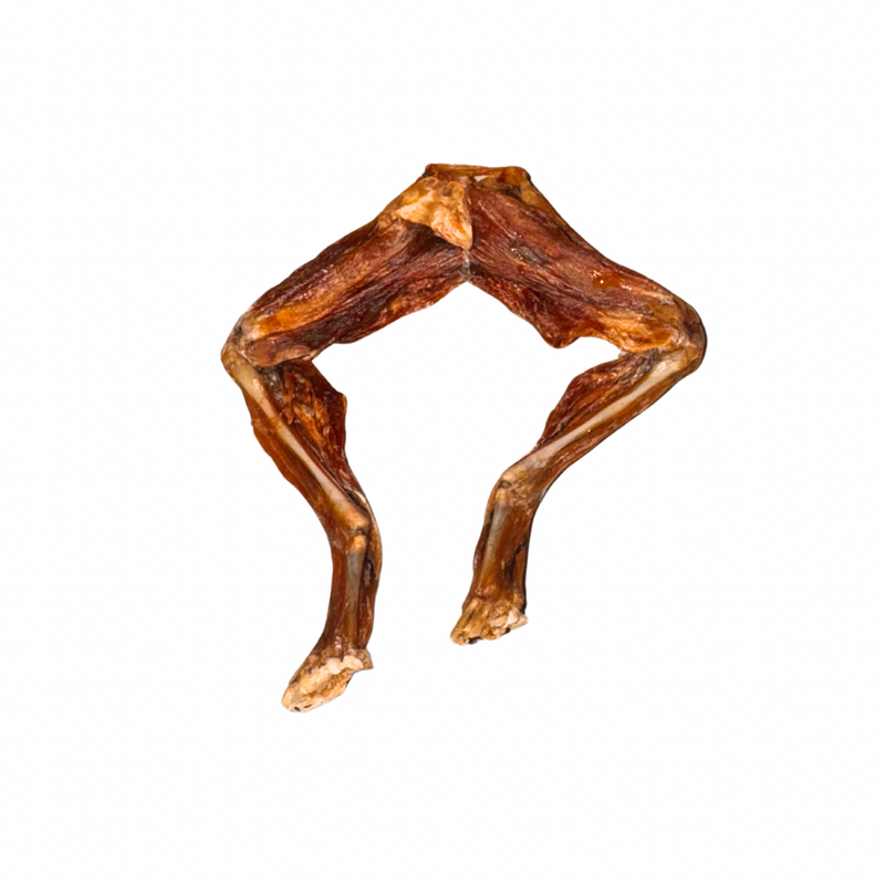 Frog Legs-1