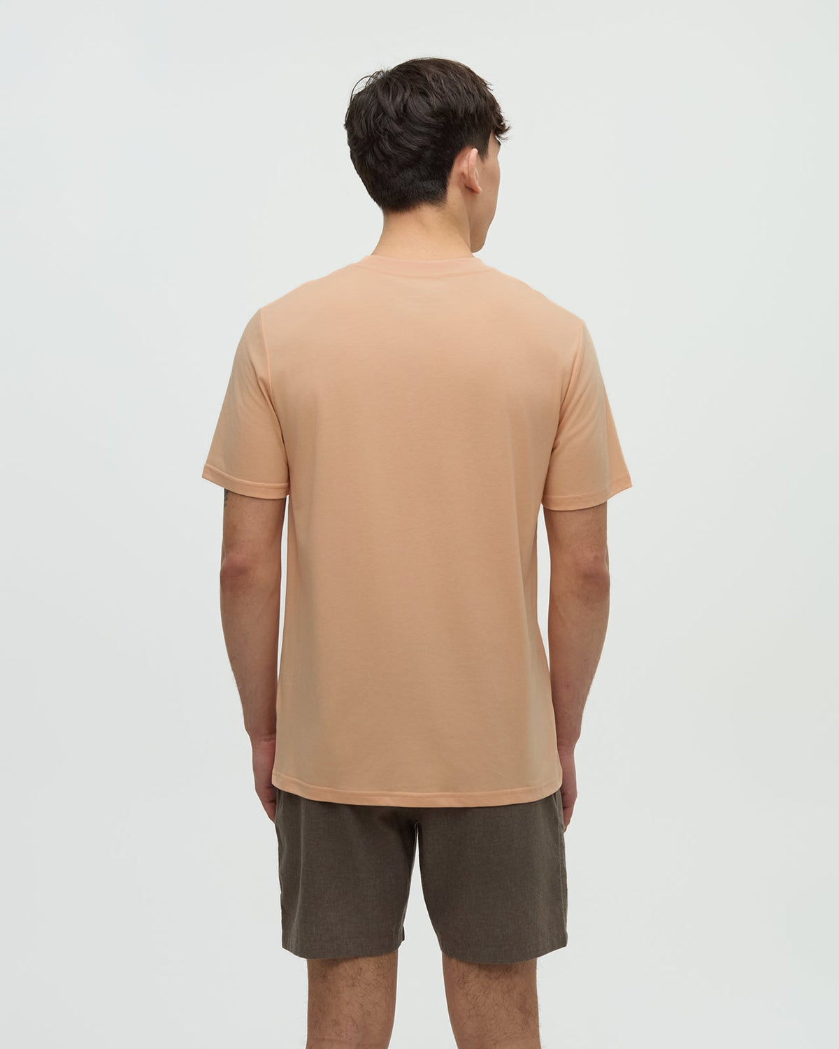 Haiti Palm Logo T-Shirt-3