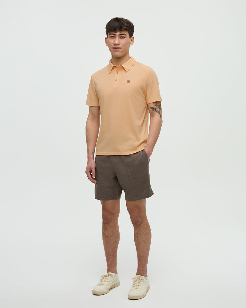 Astir Polo-2