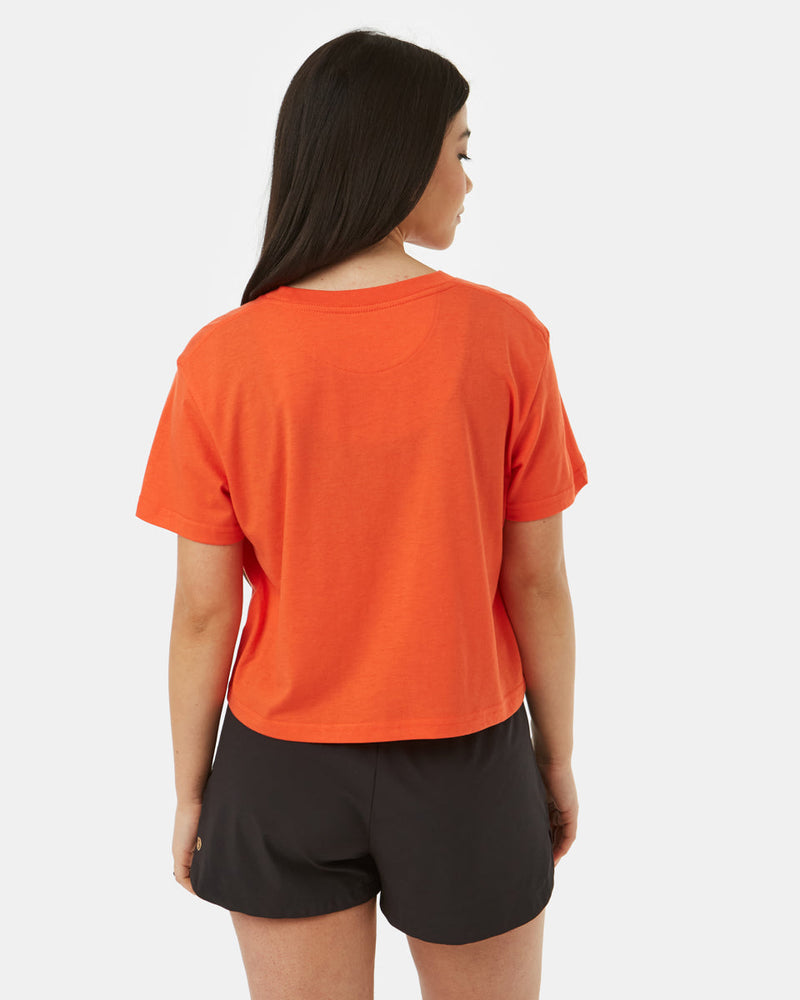 TreeBlend Cropped Relaxed T-Shirt-4