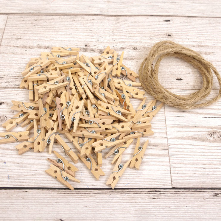 Mini Craft Pegs-1