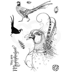 Magnipheasant A5 Clear Stamp Set-8
