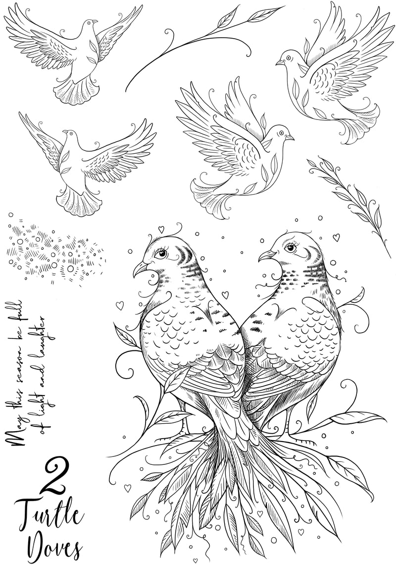 Pink Ink Designs Two Turtle Doves 6 in x 8 in Clear Stamp Set-13