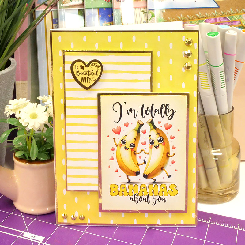 Say it with Style Pocket Pads - Lots of Laughs-4