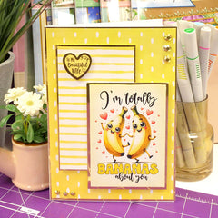 Say it with Style Pocket Pads - Lots of Laughs-4