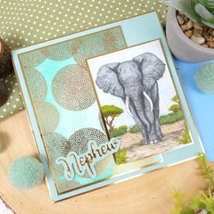Colouring Pocket Pads - Animal Planet-3