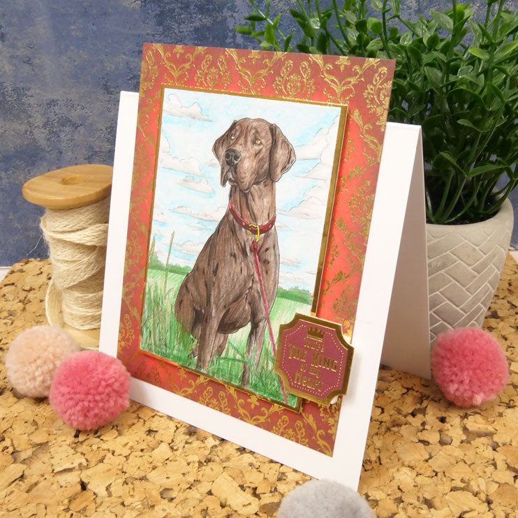 Colouring Pocket Pads - Delightful Dogs-3