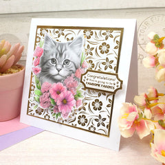 Colouring Pocket Pads - Little Meows-3