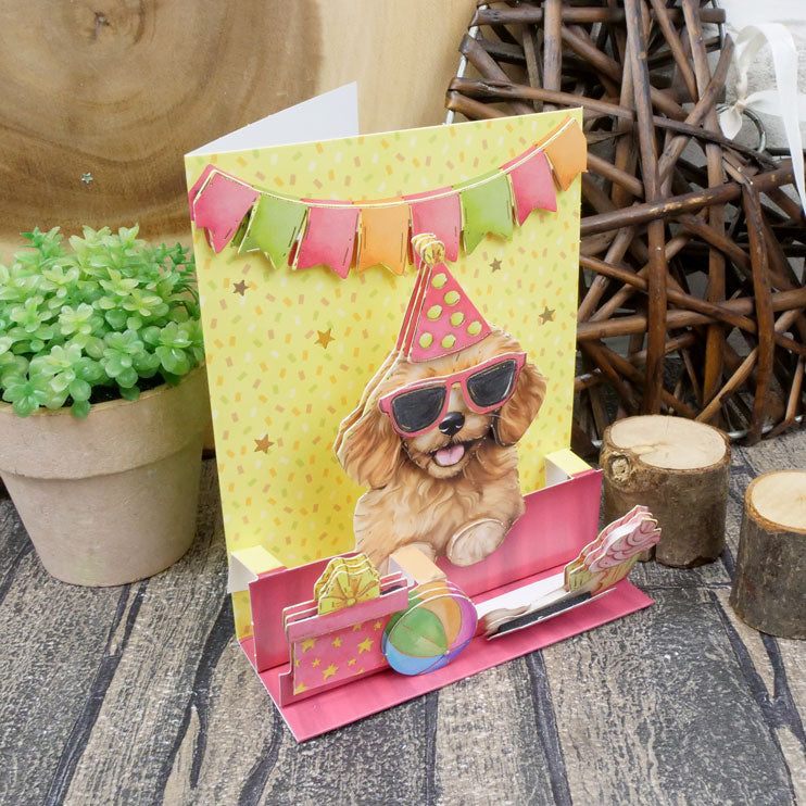 Pop-Up Stepper Cards - Moments & Memories Cards - Set 1-7
