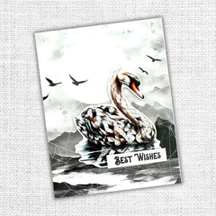 Animal Kingdom 6x6 Paper Collection 32100-11