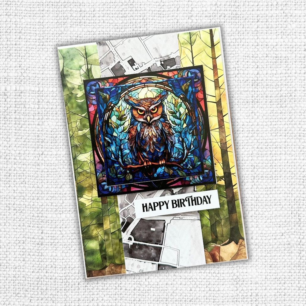 Animal Kingdom 6x6 Paper Collection 32100-16