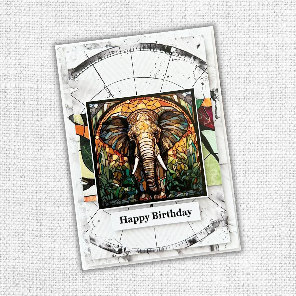 Animal Kingdom 6x6 Paper Collection 32100-3