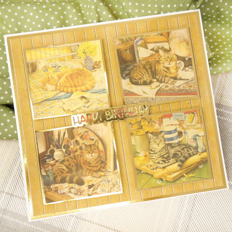 Purr-fect Days Printed Parchment-3