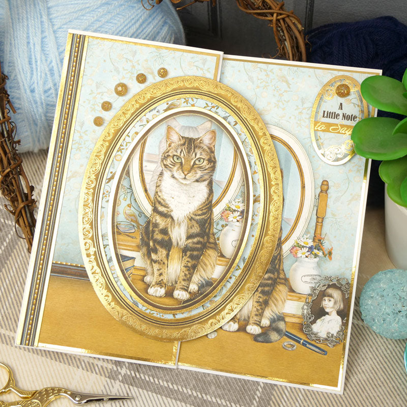 Purr-fect Wishes Luxury Topper Set-5
