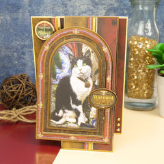 Colección de adornos de lujo Purr-fect Days-5