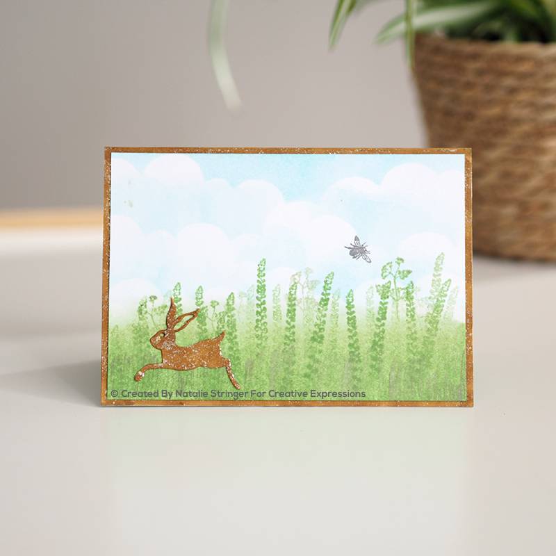 Creative Expressions Paper Cuts Mini Spring Is In The Air Craft Die-2