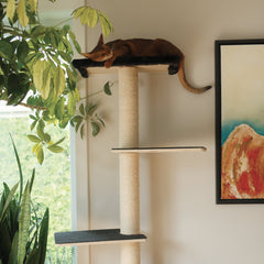 Noba Mural System Kit- The Vertical Playground-2