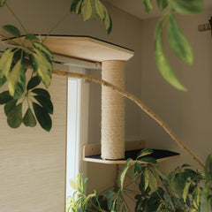 Noba Mural System Kit- The Vertical Playground-5