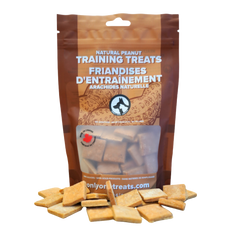 Soft Natural Peanut Training Treats 170g-1