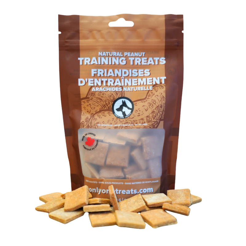 Soft Natural Peanut Training Treats 170g-1