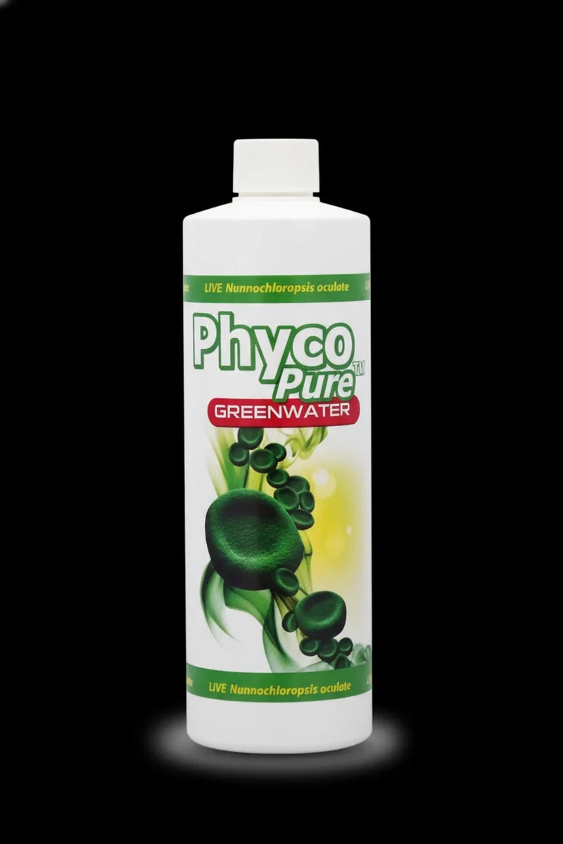 AlgaGen PhycoPure Greenwater 8 oz-1