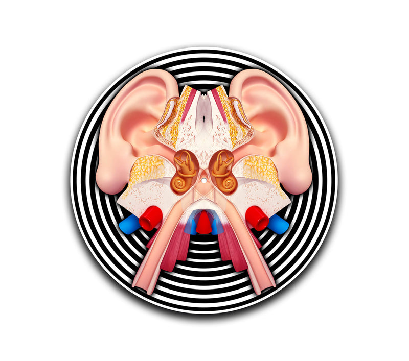 Auditory System Slipmat-1