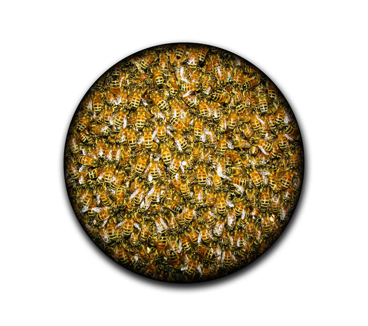 Bees Slipmat-1
