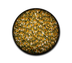 Bees Slipmat-1