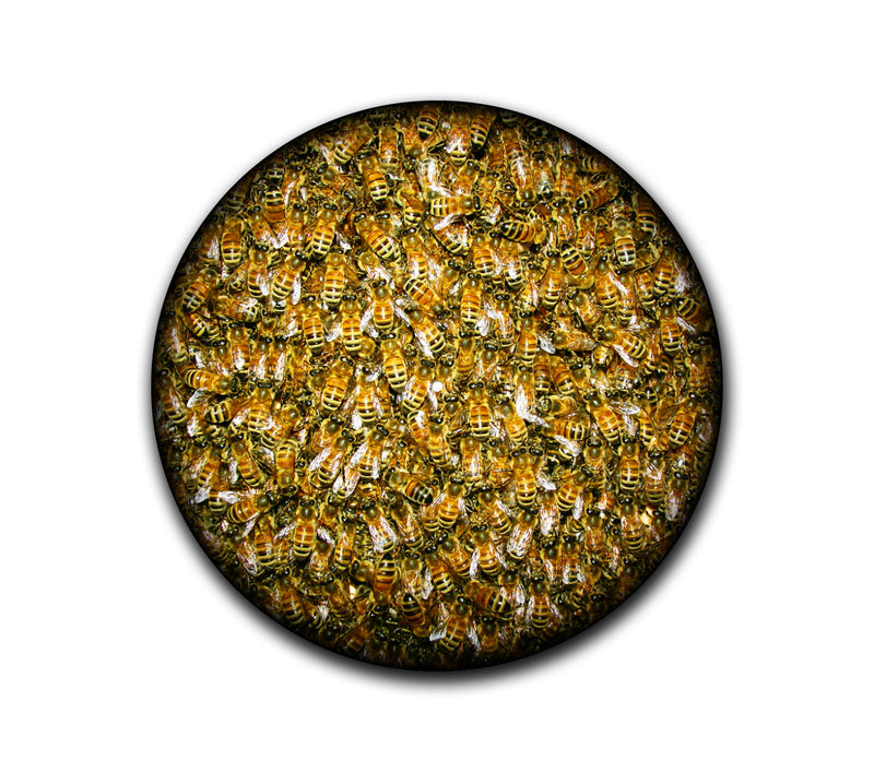 Bees Slipmat-1