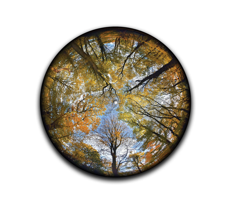 Fisheye Woods Slipmat-1
