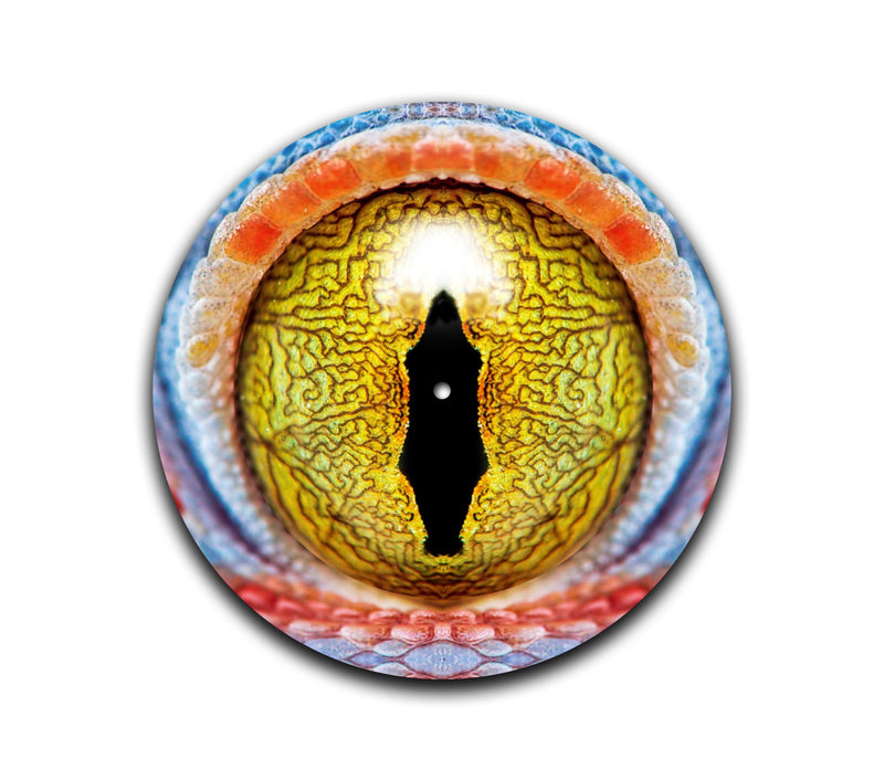 Gecko Eye Slipmat-1