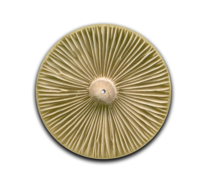Shroom Slipmat-1
